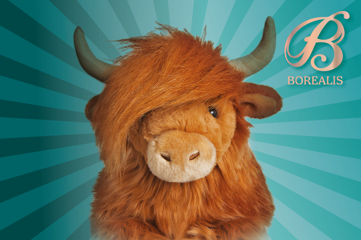 Blauer Strahlenhintergrund mit Highland Cow und Aurora-Logo