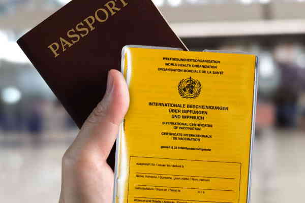 Impfpass und Reisepass" 

(Note: The text is already in German and does not require translation. It retains its original meaning and context.)
