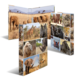 Tiermotive auf einem Ordner, einschließlich Elefanten, Giraffen, Löwen, Nashörner und Zebras, in verschiedenen Szenen und Posen.