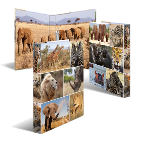 Tiermotive auf einem Ordner, einschließlich Elefanten, Giraffen, Löwen, Nashörner und Zebras, in verschiedenen Szenen und Posen.