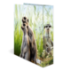 Zwei Erdmännchen stehen in einem grünen, grasbewachsenen Umfeld, während ein drittes Erdmännchen seitlich schaut.