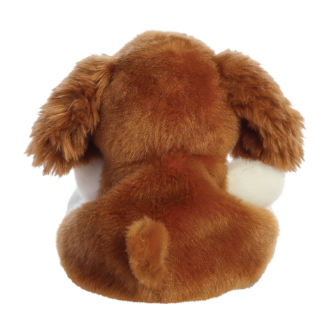 Ein flauschiger Hund von hinten, mit braunem und weißem Fell, kurzen Ohren und einem kleinen Schwanz.