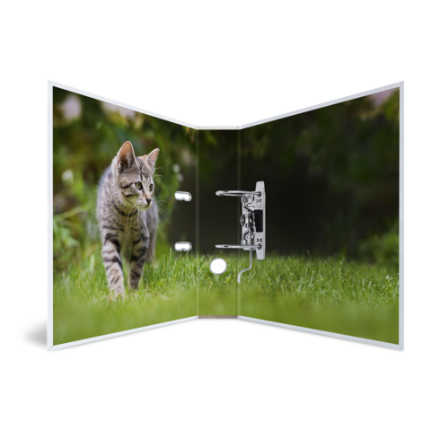 Eine graue Katze läuft über grünes Gras, während sie vor einer offenen Tür sitzt.