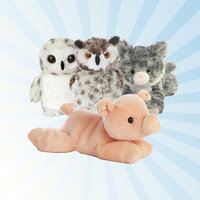 Blauer Strahlenhintergrund mit Kuscheltieren von Aurora: einem Schwein und Eulen.