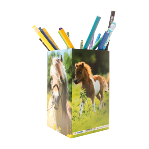Ein Stiftehalter mit Bildern von Ponys, gefüllt mit bunten Stiften und Bleistiften.