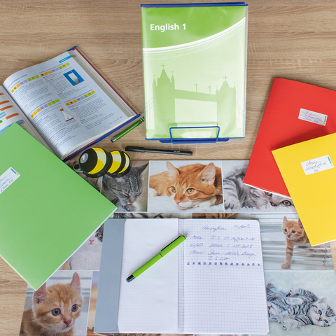 Eine Frau und ein Mädchen halten bunte Ordner in der Hand, während sie an einem Tisch mit Fotos sitzen. Im Hintergrund ist eine Katze zu sehen.