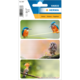 Drei Aufkleber mit Vögeln: ein Eisvogel, eine Eule und ein Wiedehopf, jeweils auf einem farbigen Hintergrund.