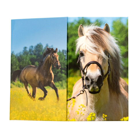 Zwei Pferde auf einer Wiese, eines läuft im Hintergrund, das andere steht im Vordergrund mit einem Halfter und einer auffälligen Mähne.