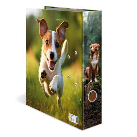 Ein Ordner mit einem spielenden Welpen auf der Vorderseite und einem sitzenden Hund auf der Seite.