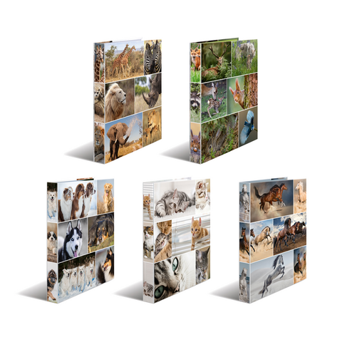 Eine Collage mit verschiedenen Tieren, darunter Löwen, Katzen, Hunde, Füchse und Giraffen, in mehreren Anordnungen und Perspektiven.