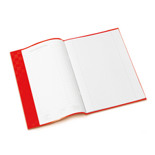 Notizbuch mit handschriftlichen Einträgen über Ameisen, einschließlich einer Skizze und einer Liste von Themen zur Formicidae-Familie.