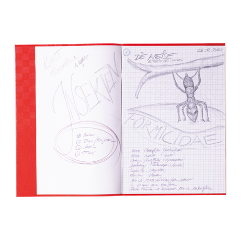 Notizbuch mit handschriftlichen Einträgen über Ameisen, einschließlich einer Skizze und einer Liste von Themen zur Formicidae-Familie.