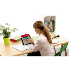 Eine Frau sitzt an einem Schreibtisch und arbeitet mit einem Tablet. Auf dem Tisch liegen Unterlagen und ein grüner Blumentopf.