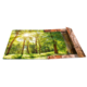 Ein offener Buchumschlag zeigt eine sonnendurchflutete Waldlandschaft mit grünen Bäumen und einem hellen Himmel.