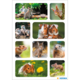 Eine Collage mit verschiedenen Tieren: Kaninchen, Meerschweinchen, Erdmännchen und ein Hamster, die in natürlichen Umgebungen dargestellt sind.