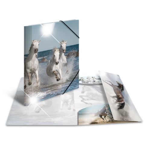 Drei weiße Pferde galoppieren durch das Wasser am Strand, umgeben von einem offenen Fotobuch mit weiteren Bildern von Pferden.