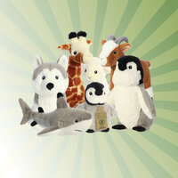 Grüner Strahlenhintergrund mit verschiedenen Plüschtieren von Aurora" 

This text is already in German and does not require translation. It maintains its original tone, context, and meaning.