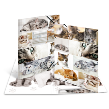 HERMA Sammelmappen