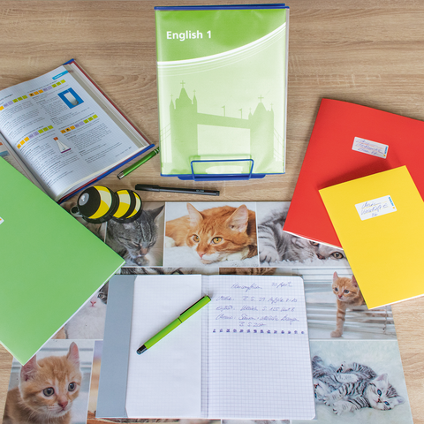 Schreibtisch mit Schulmaterialien, darunter ein grüner Ordner, ein Notizbuch, Stifte und Fotos von Katzen.
