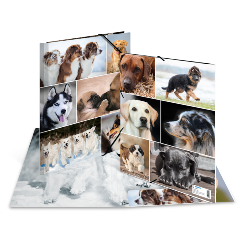 Ein aufgeschlagenes Album mit verschiedenen Hundefotos, darunter Rassen wie Siberian Husky, Labrador und Mischlinge, in verschiedenen Posen.