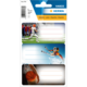 Sportliche Etiketten mit Motiven aus American Football, Skifahren und Basketball, jeweils mit Platz für Beschriftungen.