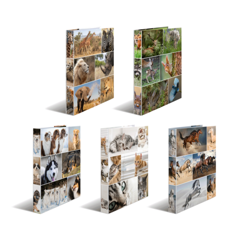 Eine Collage mit verschiedenen Tieren, darunter Löwen, Giraffen, Füchse, Katzen und Hunde, in mehreren Anordnungen.
