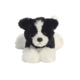 Schwarzer und weißer Plüschhund mit großen Augen, der auf einem weißen Untergrund sitzt.