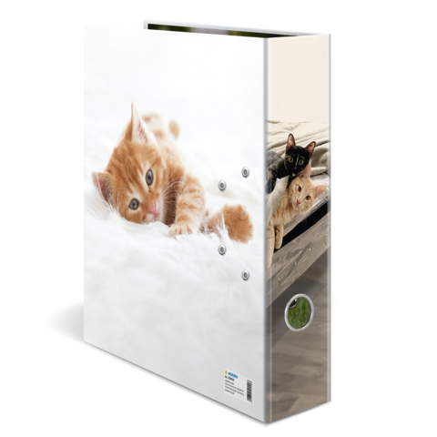 Ein Ordner mit einem Bild von zwei Katzen, einer orangefarbenen und einer schwarzen, die auf einem weißen Hintergrund liegen.