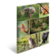 Eine Collage mit verschiedenen Wildtieren, darunter ein Eichhörnchen, ein Reh, ein Luchs und Füchse, umgeben von grüner Natur.