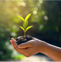 The text "Pflanze in Hand Kachel" seems to be a bit unclear or possibly a typo. If you meant "Pflanze in der Hand" (plant in hand) or "Kachel in der Hand" (tile in hand), please clarify. 

Assuming you want to keep it as is, a more fluent version could be: "Pfl