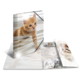 Ein aufklappbares Buch mit einem orangefarbenen Kätzchen auf der Vorderseite und weiteren Katzenbildern im Inneren.