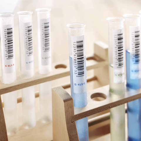 Reagenzgläser in einem Holzständer, einige mit klaren Flüssigkeiten und andere mit blauen und grünen Flüssigkeiten, alle mit Barcode-Etiketten.