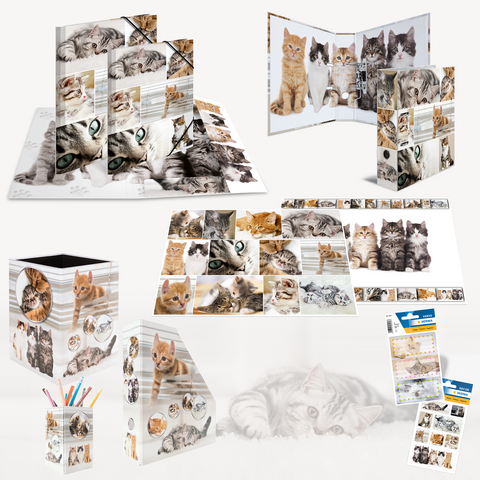 Kreatives Set mit verschiedenen Katzenmotiven, das einen Ordner, Notizblätter, einen Stiftehalter und Aufkleber umfasst.