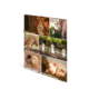 Eine Collage mit verschiedenen Tieren: ein Kalb, ein Hund, ein Pferd, Gänse, ein Küken und zwei Ferkel.