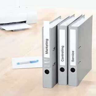 Schmale Einsteckrückenschilder für Ordner" 

This phrase is already in German. If you need a rephrasing or clarification, it could be: "Schmale Rückenschilder zum Einstecken für Ordner.