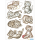 Eine Sammlung von niedlichen Kätzchen in verschiedenen Posen, darunter spielende, schlafende und neugierige Katzen.