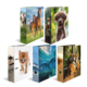 Ordner mit Tiermotiven: Pferde, ein Hund, eine Katze, Delfine und Tiger. Bunte Designs auf unterschiedlichen Ordnern.