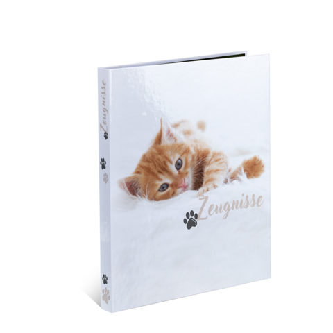 Ein Fotobuch mit einem Bild einer spielenden orangefarbenen Katze auf dem Cover, betitelt mit 'Zengnisse'.