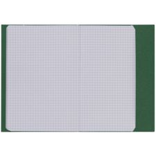 Ein offenes kariertes Heft mit grünem Umschlag, das leere Seiten für Notizen oder Zeichnungen zeigt.