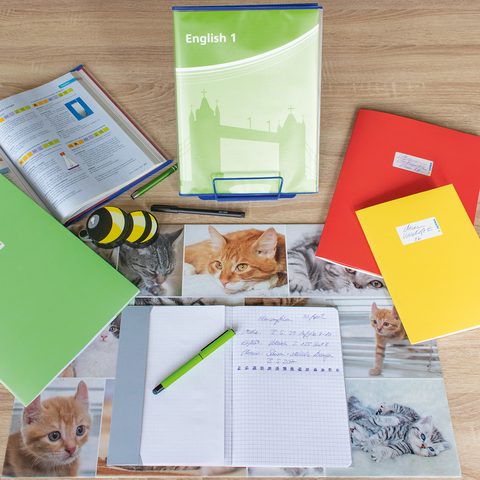 Eine Frau und ein Mädchen halten bunte Ordner in der Hand, während sie an einem Tisch mit Fotos sitzen. Im Hintergrund ist eine Katze zu sehen." 

(Note: The text is already in German and does not require translation. It is clear and fluent as it is.)