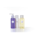 Drei Flaschen mit Pflegeprodukten: eine lila Flasche mit Pumpe, eine weiße Flasche und eine gelbe Flasche, beschriftet mit "Shampoo" und "Body Cream".